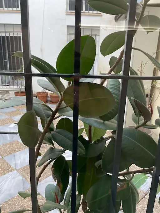 דירה Apartamento Hoomtur Sevilla ספרד